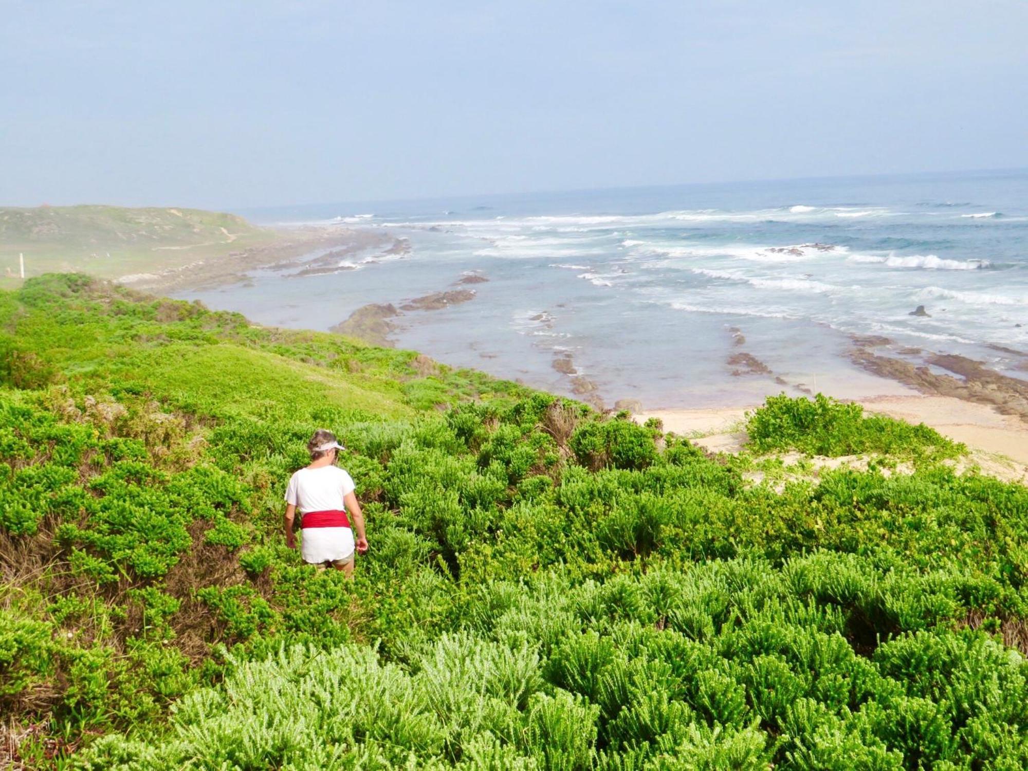 Whistlewood Guesthouse Walmer, Port Eizabeth Port Elizabeth Eksteriør billede