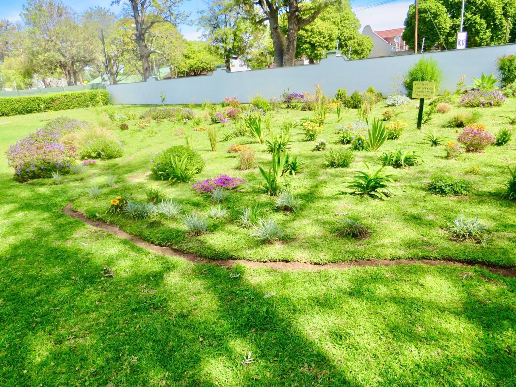 Whistlewood Guesthouse Walmer, Port Eizabeth Port Elizabeth Eksteriør billede