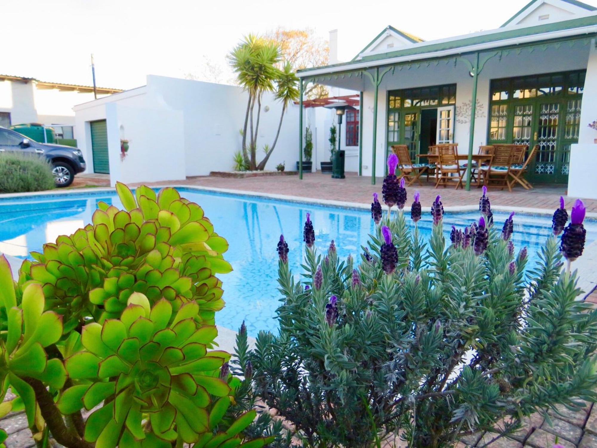 Whistlewood Guesthouse Walmer, Port Eizabeth Port Elizabeth Eksteriør billede