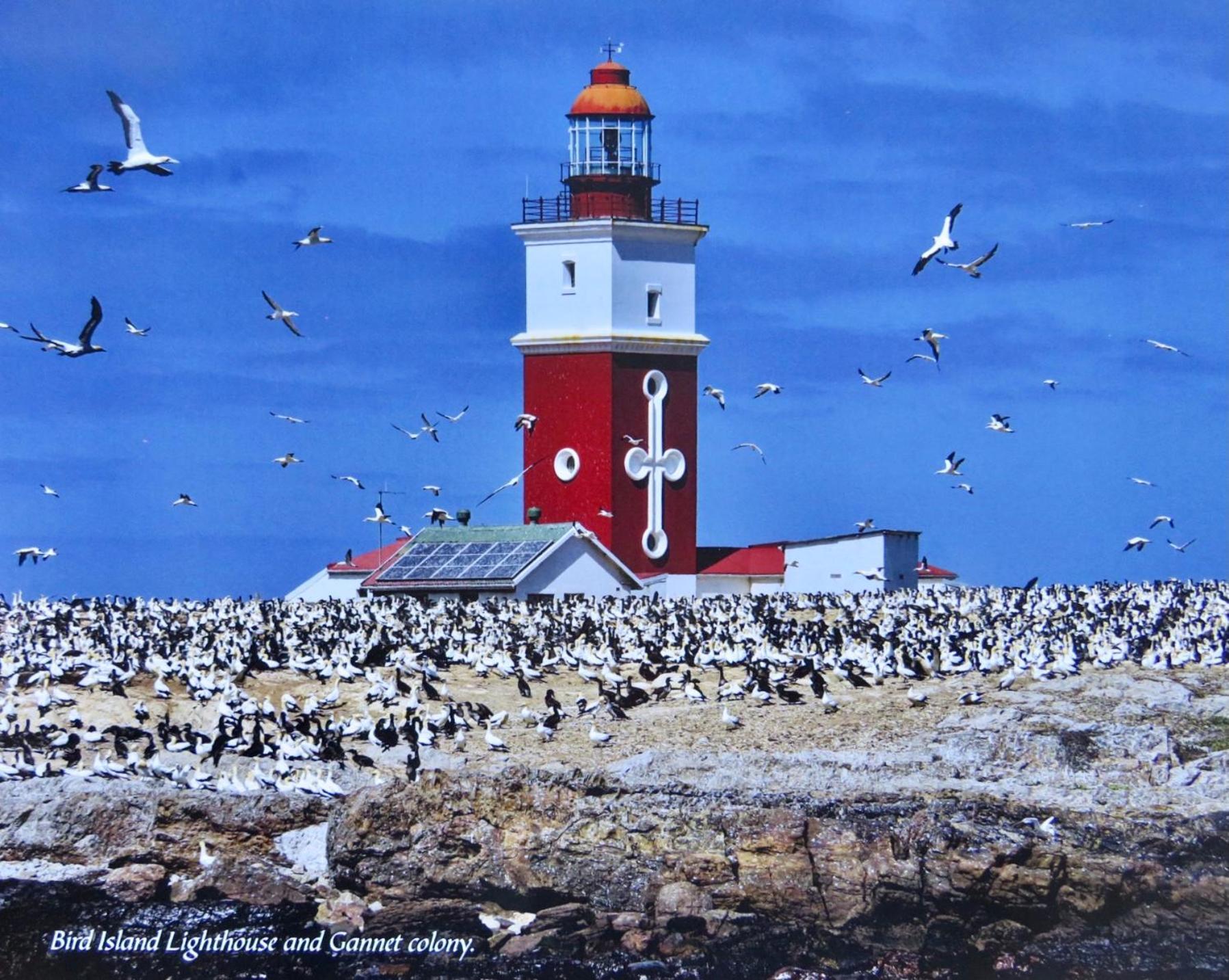 Whistlewood Guesthouse Walmer, Port Eizabeth Port Elizabeth Eksteriør billede