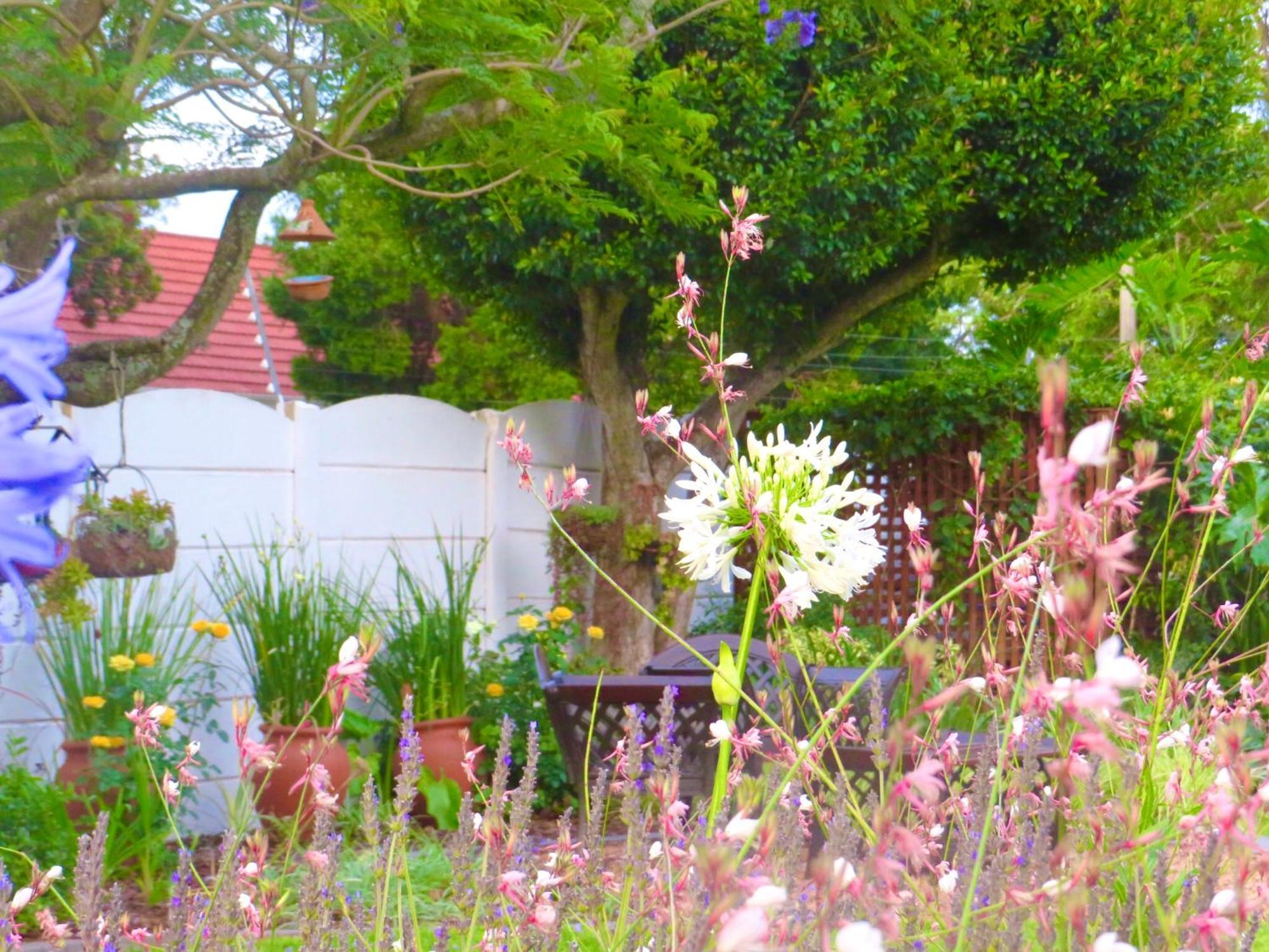 Whistlewood Guesthouse Walmer, Port Eizabeth Port Elizabeth Eksteriør billede