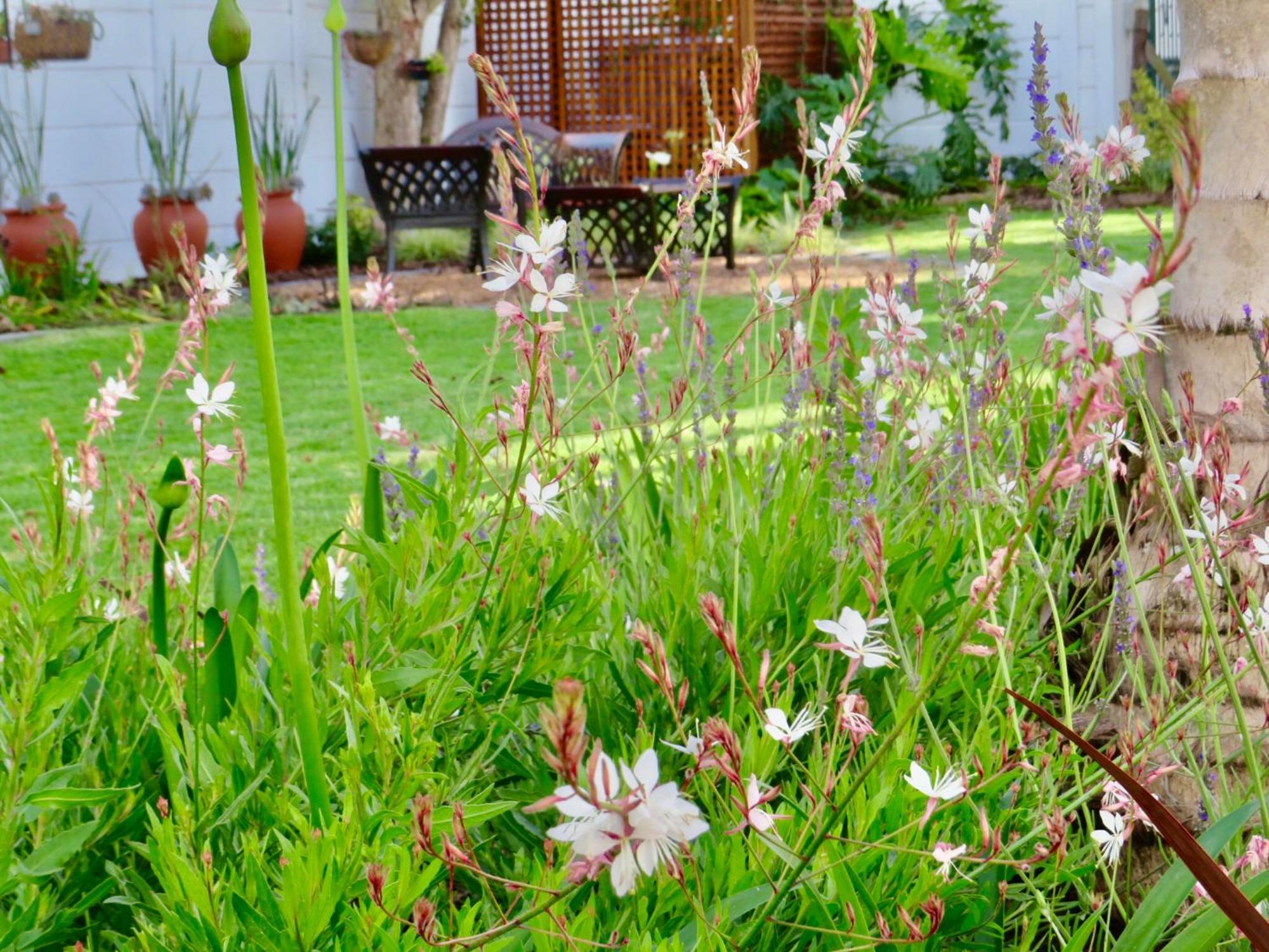 Whistlewood Guesthouse Walmer, Port Eizabeth Port Elizabeth Eksteriør billede
