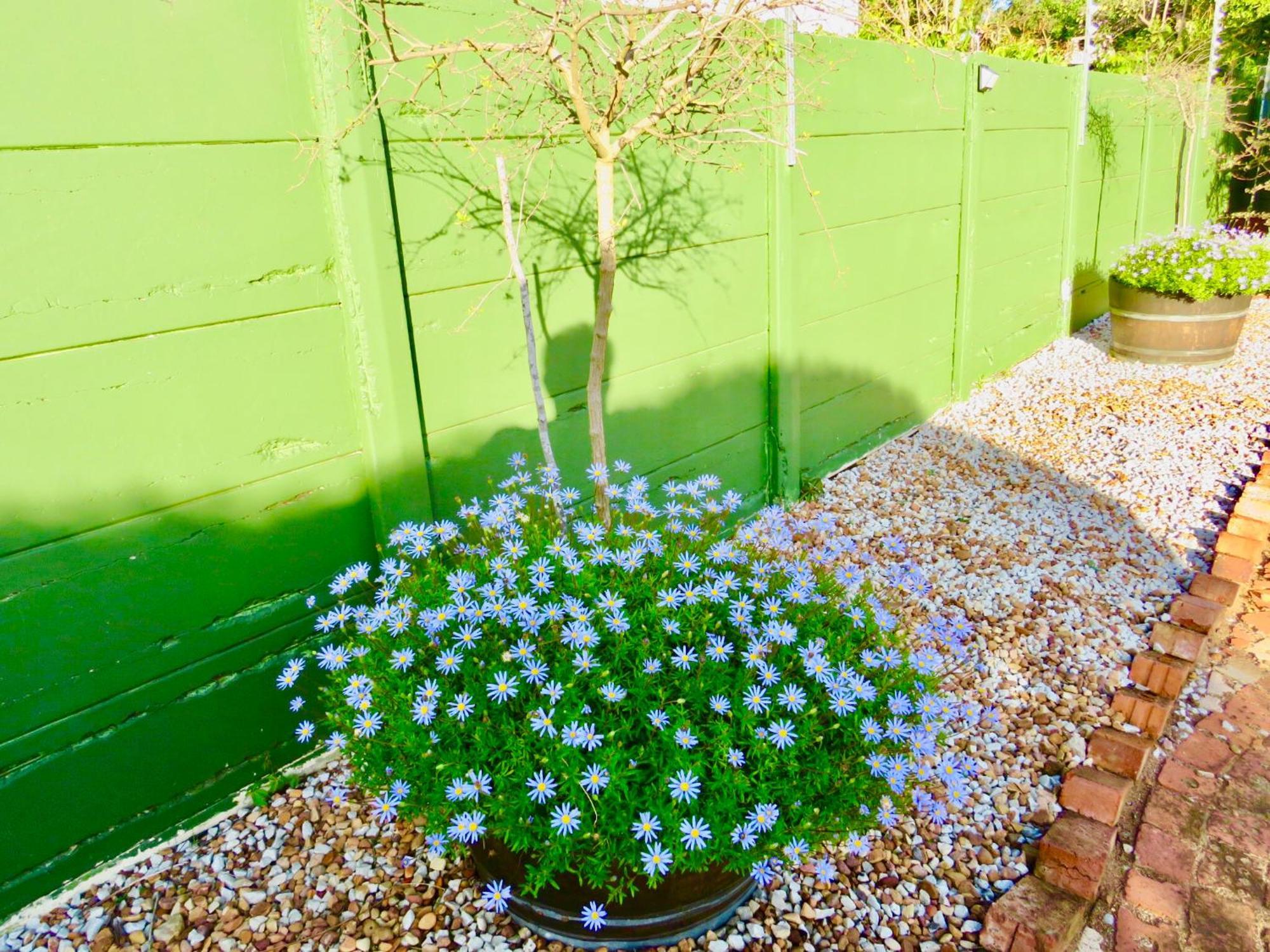 Whistlewood Guesthouse Walmer, Port Eizabeth Port Elizabeth Eksteriør billede