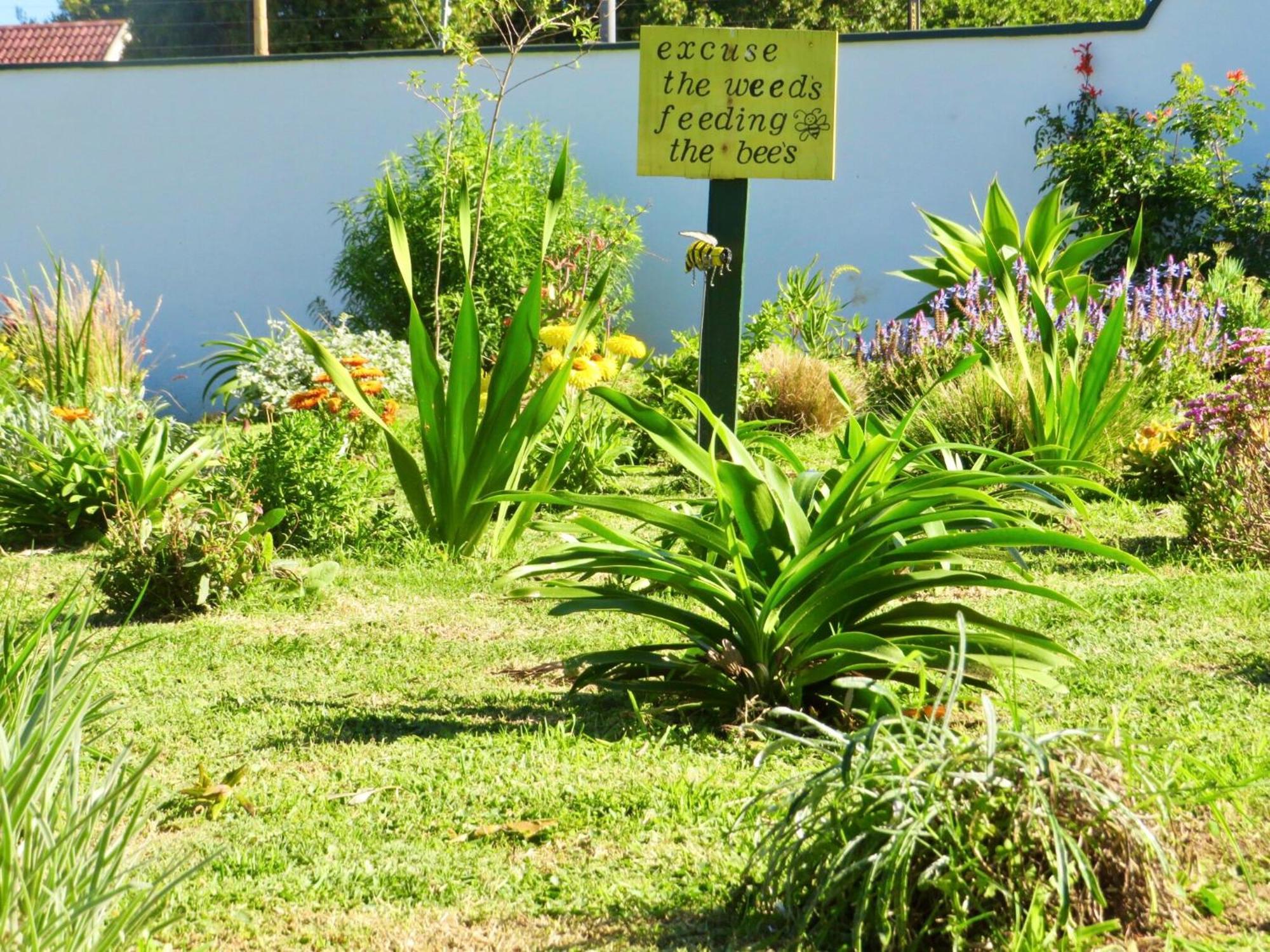 Whistlewood Guesthouse Walmer, Port Eizabeth Port Elizabeth Eksteriør billede